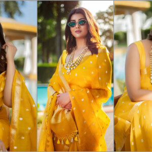 পার্নো মিত্র